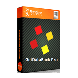 Runtime-GetDataBack-Pro-logo