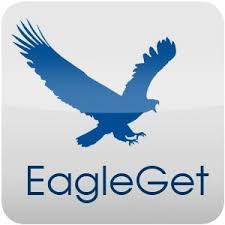 EagleGet 2.1.6.80 Crack with Serial Key Free Download 2022