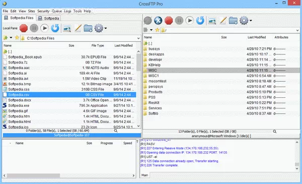 CrossFTP Enterprise 1.99.9 Crack With Serial Key Download
